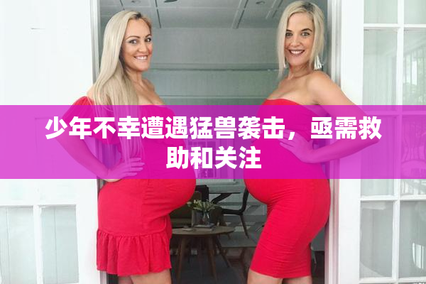 少年不幸遭遇猛兽袭击，亟需救助和关注