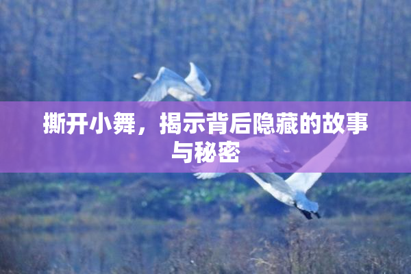 撕开小舞，揭示背后隐藏的故事与秘密