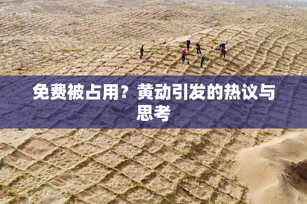 免费被占用？黄动引发的热议与思考