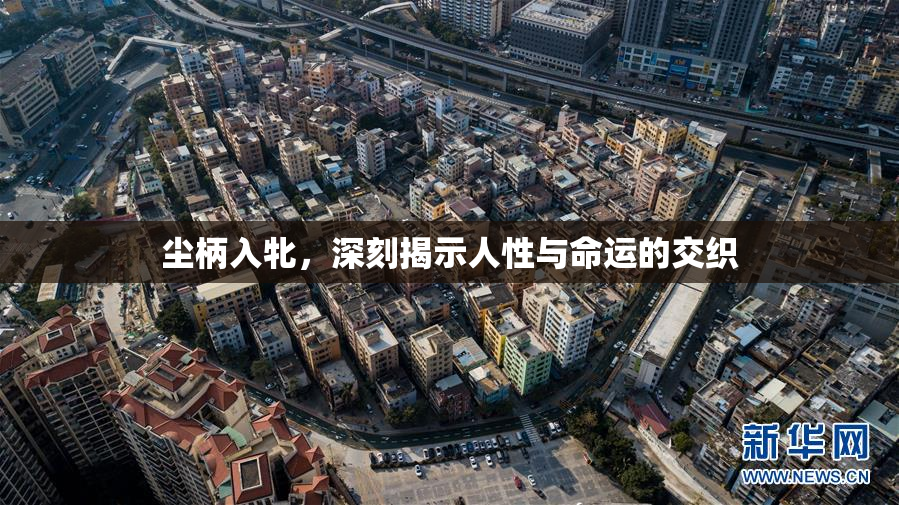 尘柄入牝，深刻揭示人性与命运的交织