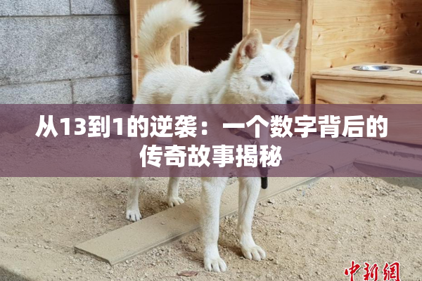 从13到1的逆袭：一个数字背后的传奇故事揭秘
