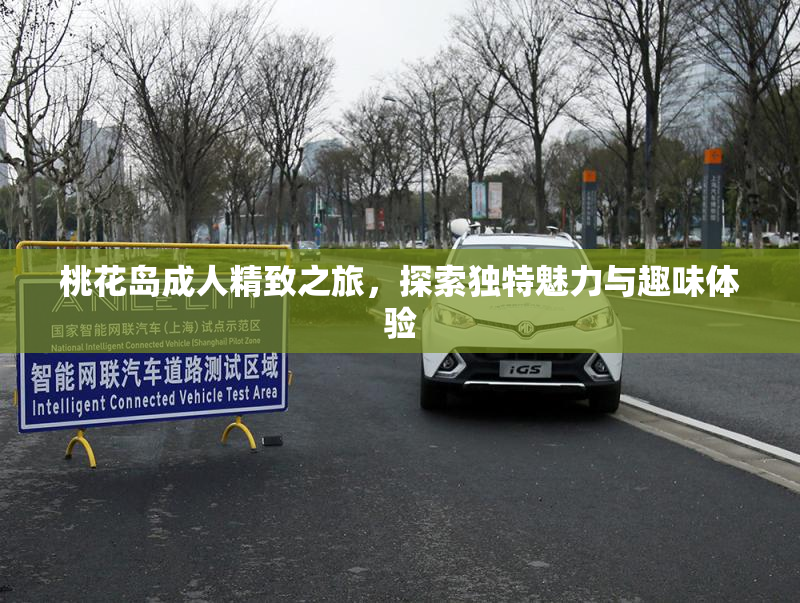 桃花岛成人精致之旅，探索独特魅力与趣味体验