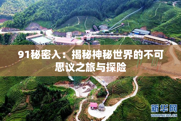 91秘密入：揭秘神秘世界的不可思议之旅与探险