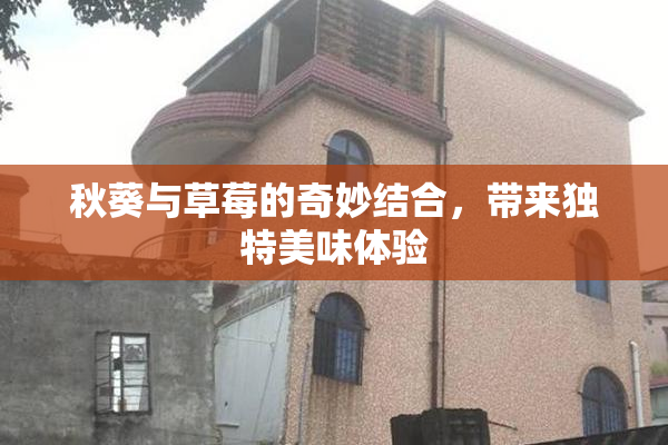 秋葵与草莓的奇妙结合，带来独特美味体验