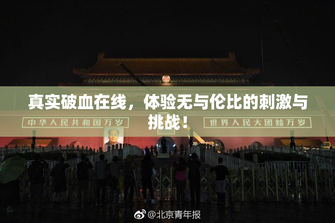 真实破血在线，体验无与伦比的刺激与挑战！