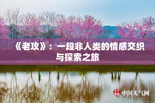 《老攻》：一段非人类的情感交织与探索之旅