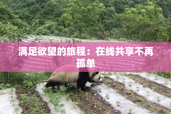 满足欲望的旅程：在线共享不再孤单
