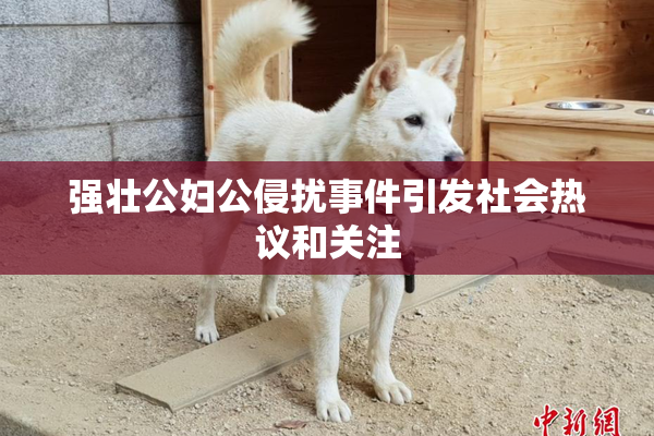 强壮公妇公侵扰事件引发社会热议和关注