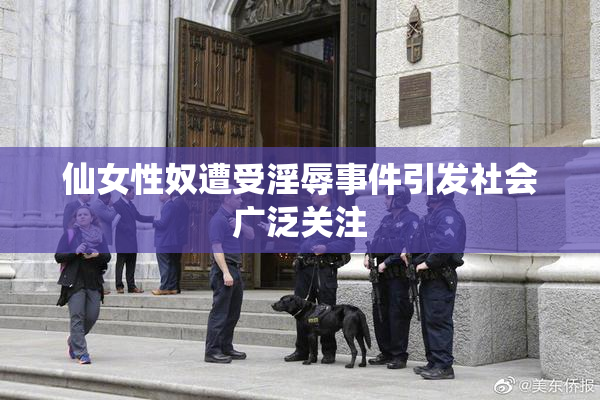 仙女性奴遭受淫辱事件引发社会广泛关注