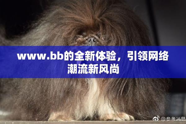 www.bb的全新体验，引领网络潮流新风尚