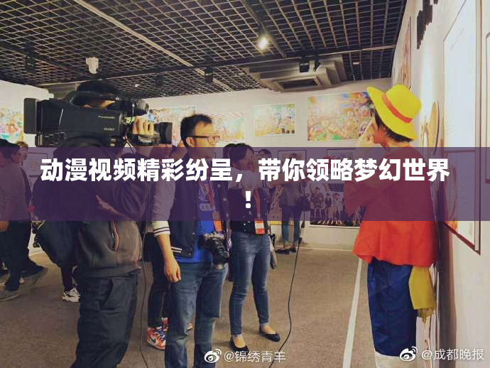 动漫视频精彩纷呈，带你领略梦幻世界！