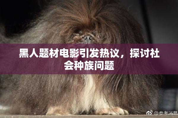 黑人题材电影引发热议，探讨社会种族问题
