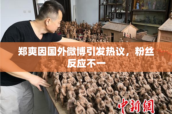 郑爽因国外微博引发热议，粉丝反应不一