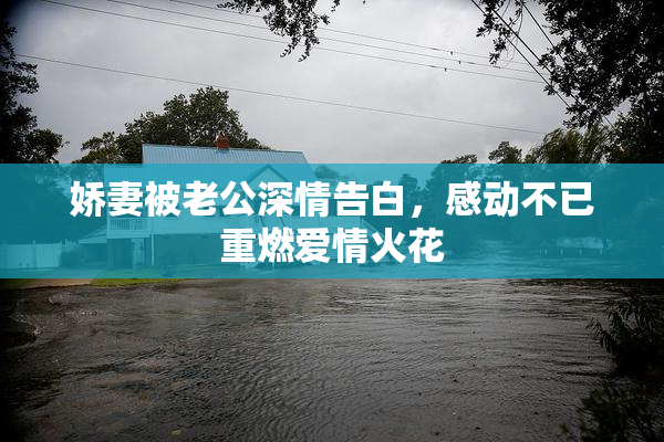 娇妻被老公深情告白，感动不已重燃爱情火花