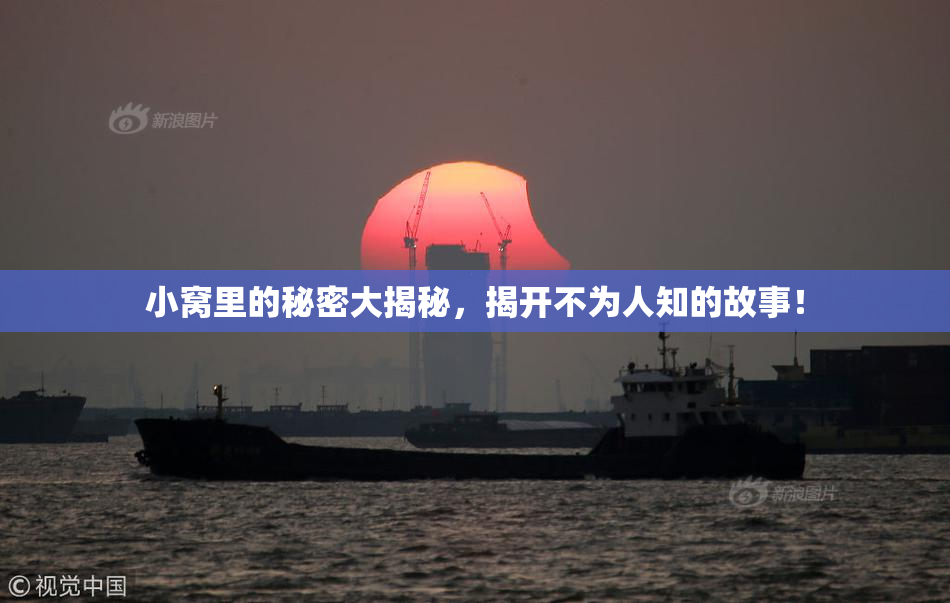 小窝里的秘密大揭秘，揭开不为人知的故事！