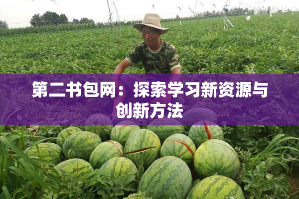 第二书包网：探索学习新资源与创新方法