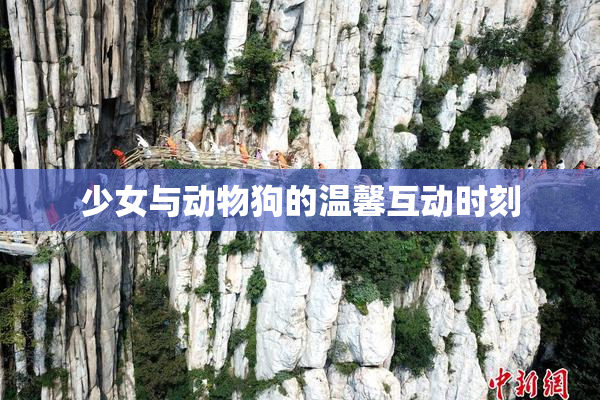少女与动物狗的温馨互动时刻