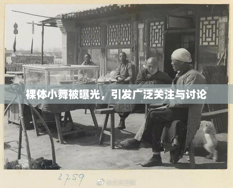 裸体小舞被曝光，引发广泛关注与讨论