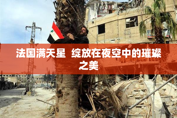 法国满天星  绽放在夜空中的璀璨之美