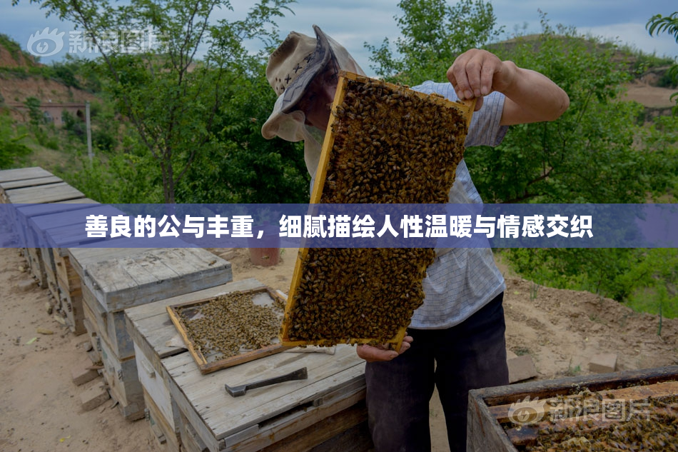 善良的公与丰重，细腻描绘人性温暖与情感交织