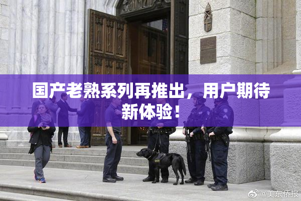 国产老熟系列再推出，用户期待新体验！