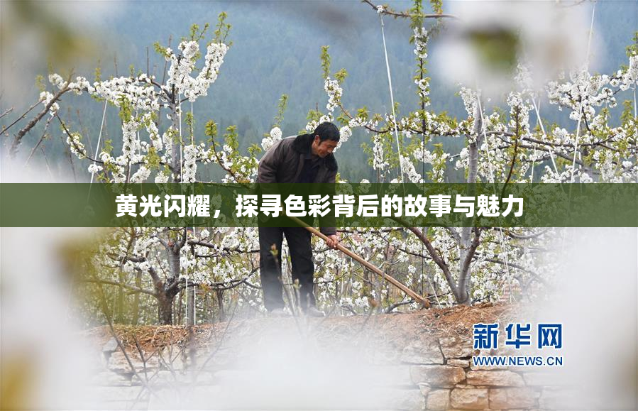 黄光闪耀，探寻色彩背后的故事与魅力
