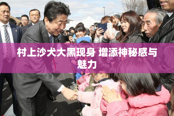 村上沙犬大黑现身 增添神秘感与魅力
