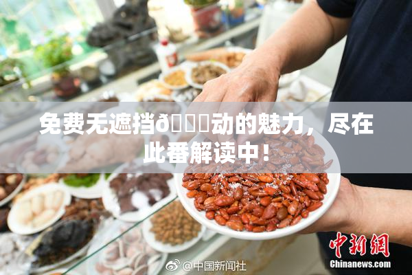 免费无遮挡🔞动的魅力，尽在此番解读中！