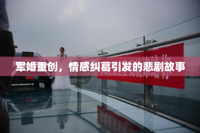 军婚重创，情感纠葛引发的悲剧故事