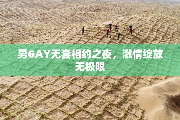 男GAY无套相约之夜，激情绽放无极限