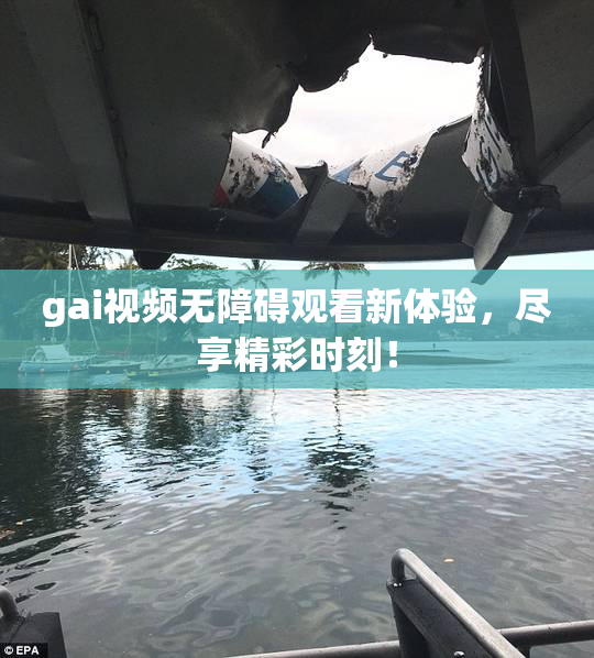 gai视频无障碍观看新体验，尽享精彩时刻！