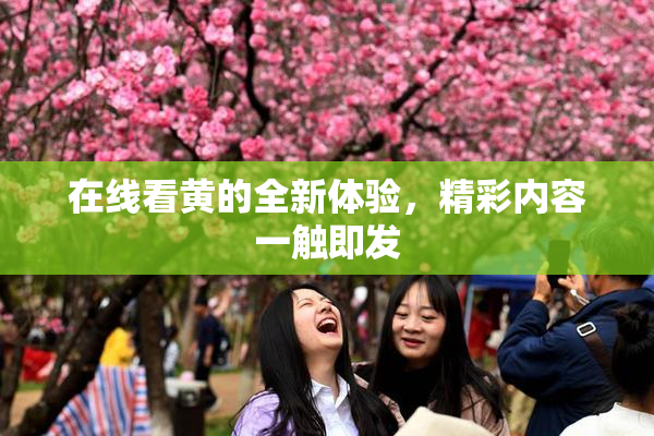 在线看黄的全新体验，精彩内容一触即发