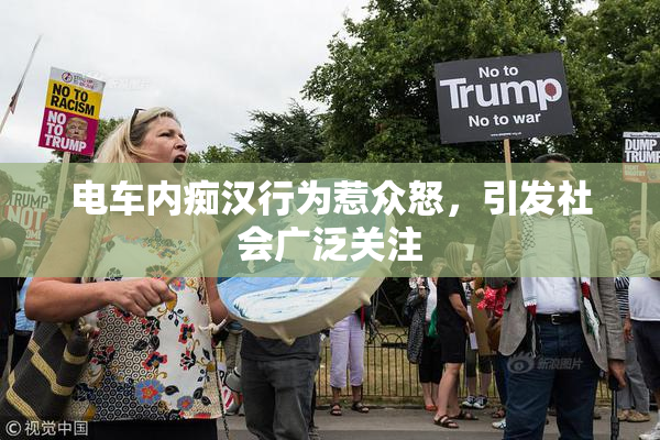 电车内痴汉行为惹众怒，引发社会广泛关注