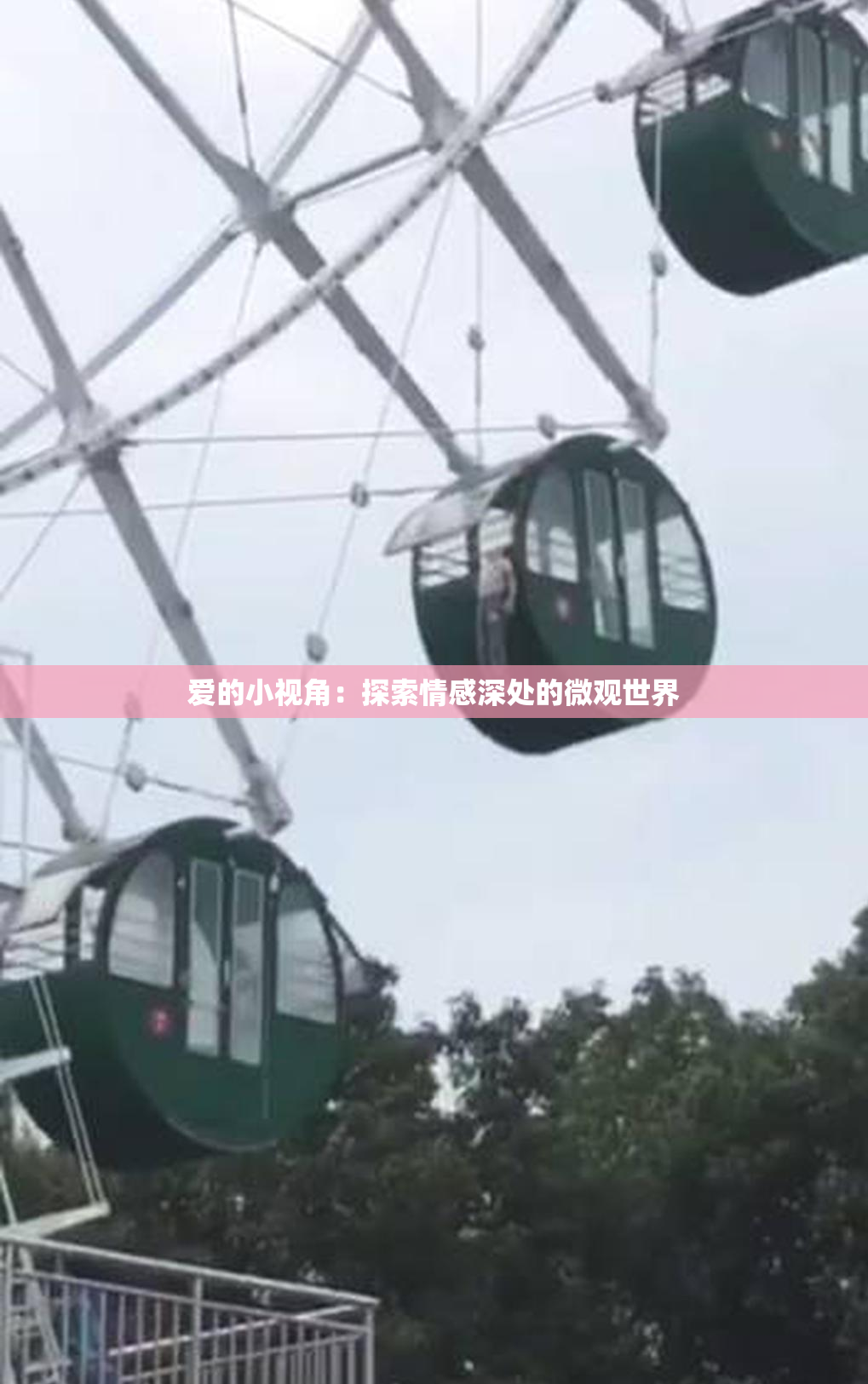 爱的小视角：探索情感深处的微观世界