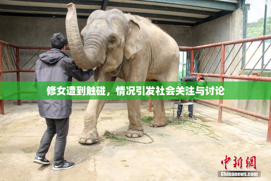 修女遭到触碰，情况引发社会关注与讨论