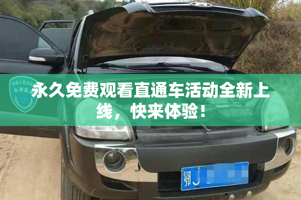 永久免费观看直通车活动全新上线，快来体验！