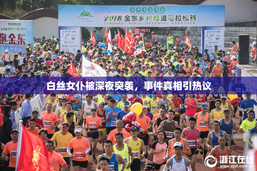 白丝女仆被深夜突袭，事件真相引热议