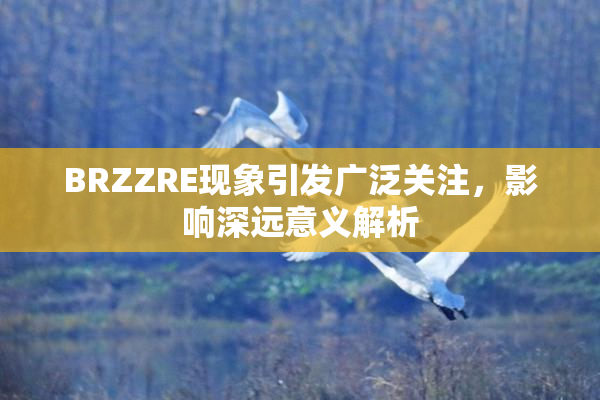 BRZZRE现象引发广泛关注，影响深远意义解析