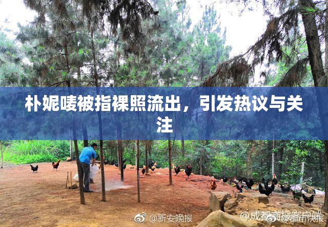 朴妮唛被指裸照流出，引发热议与关注