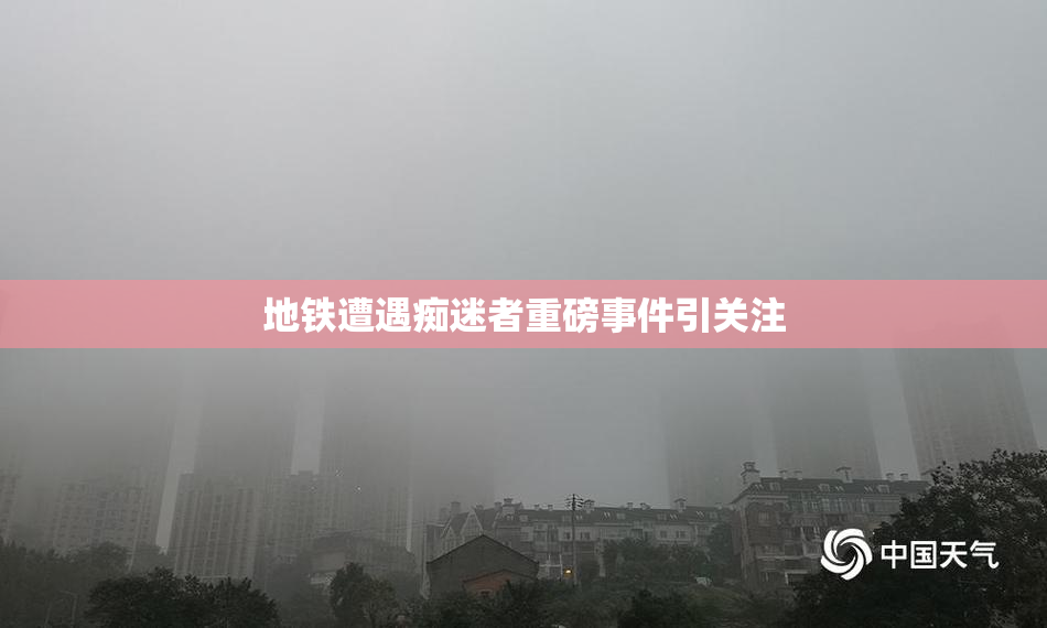 地铁遭遇痴迷者重磅事件引关注