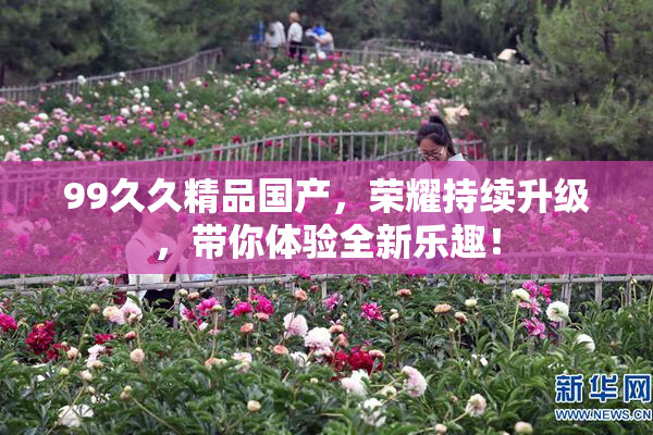 99久久精品国产，荣耀持续升级，带你体验全新乐趣！