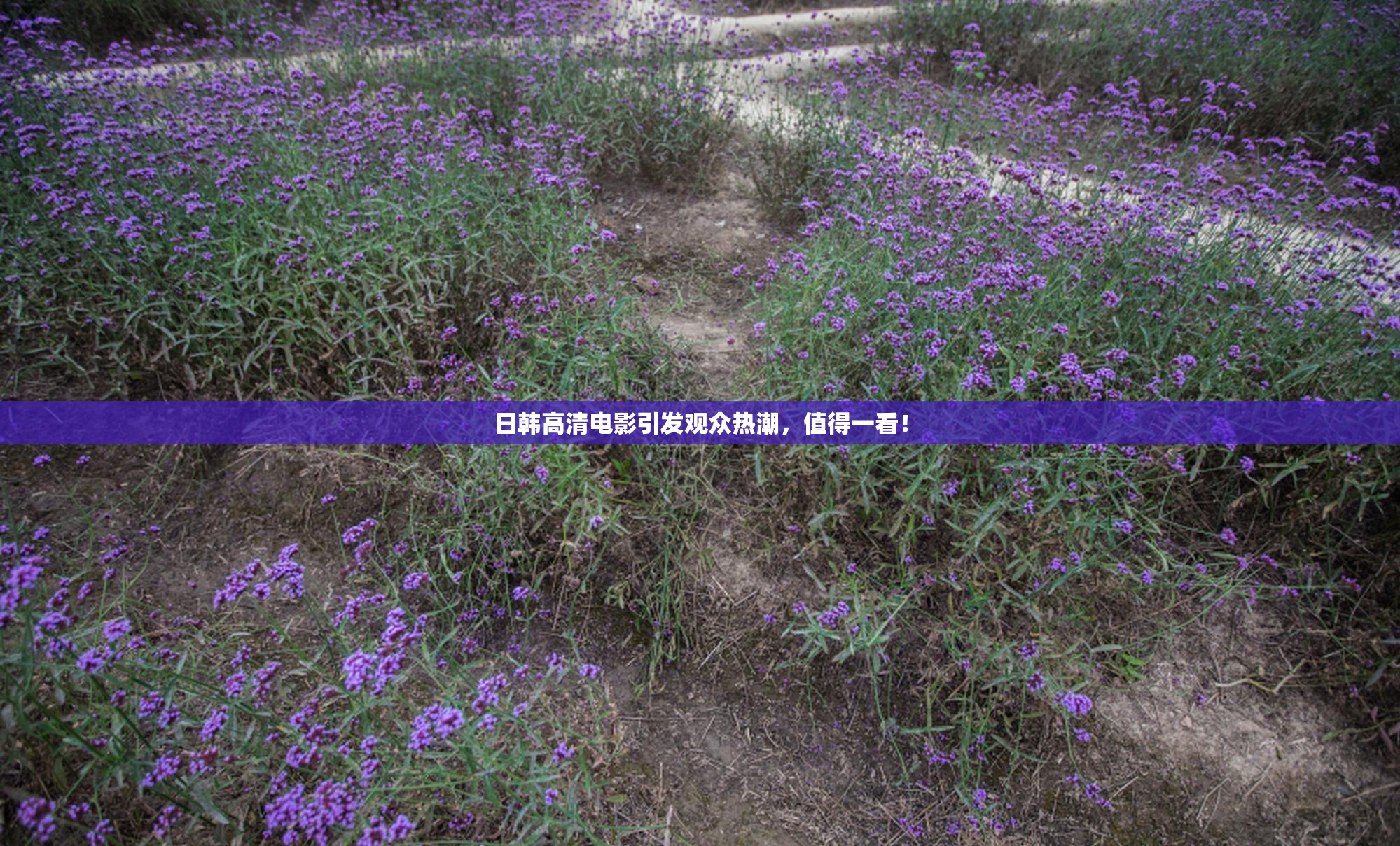 日韩高清电影引发观众热潮，值得一看！