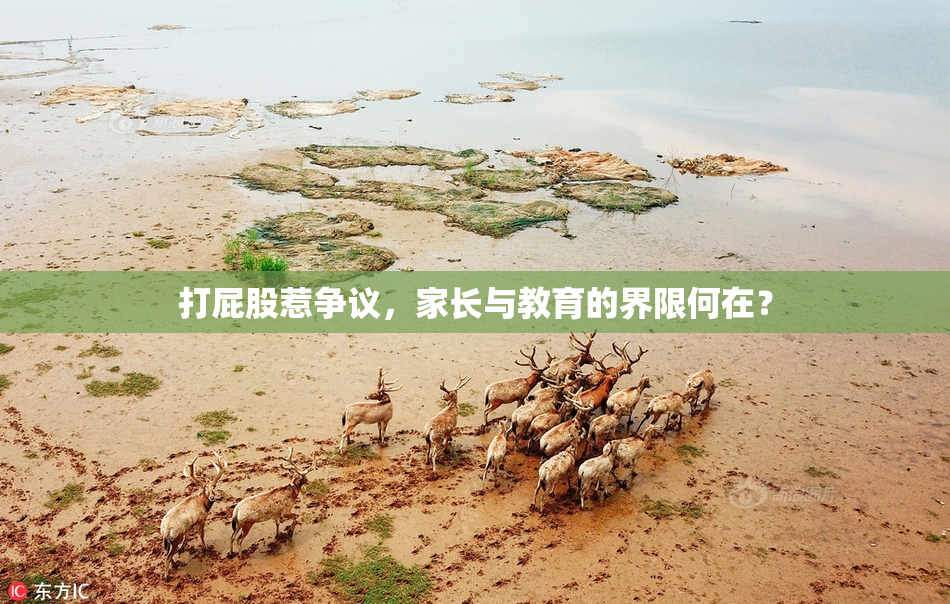 打屁股惹争议，家长与教育的界限何在？