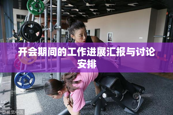 开会期间的工作进展汇报与讨论安排