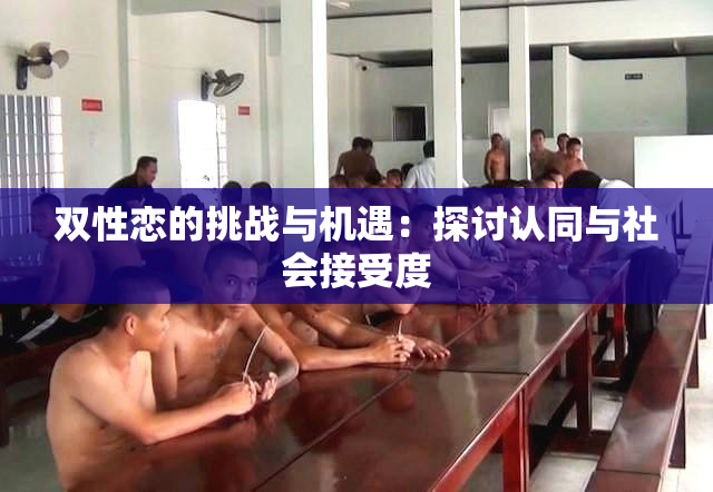 双性恋的挑战与机遇：探讨认同与社会接受度