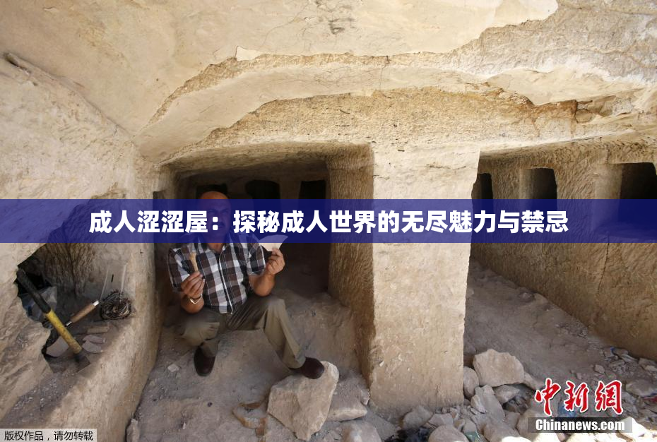 成人涩涩屋：探秘成人世界的无尽魅力与禁忌
