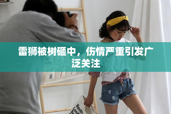 雷狮被树砸中，伤情严重引发广泛关注