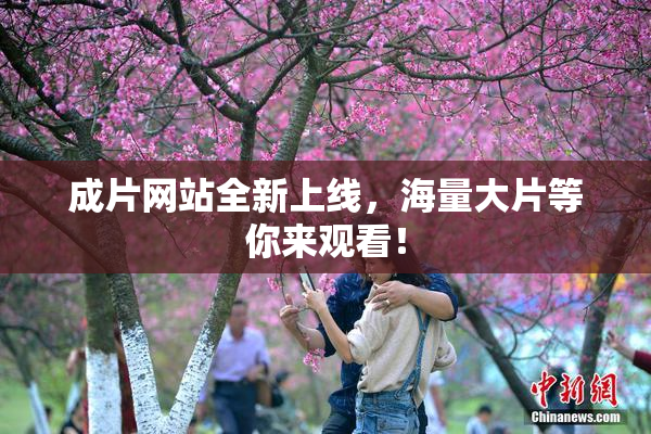 成片网站全新上线，海量大片等你来观看！