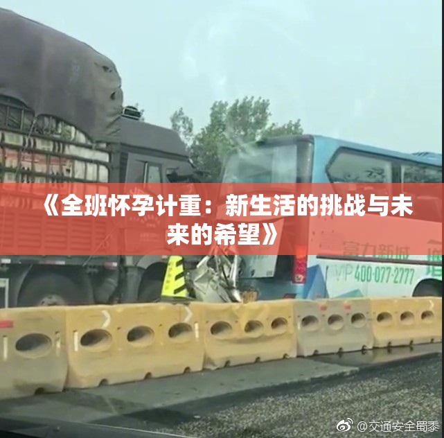 《全班怀孕计重：新生活的挑战与未来的希望》