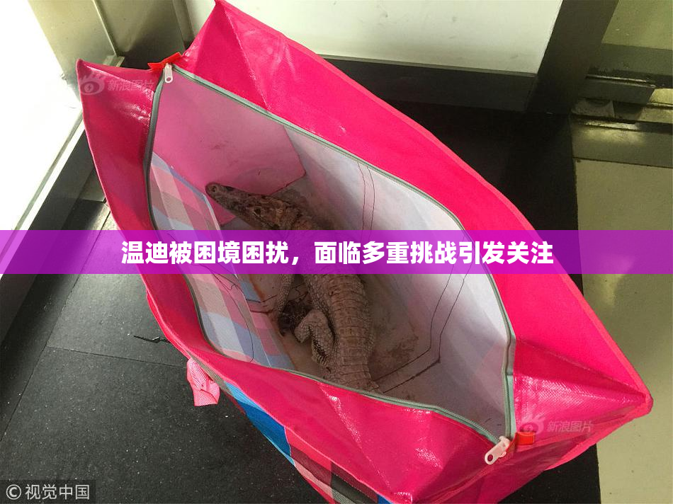 温迪被困境困扰，面临多重挑战引发关注